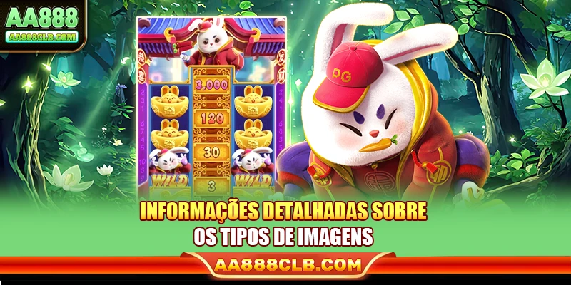 Informações detalhadas sobre os tipos de imagens